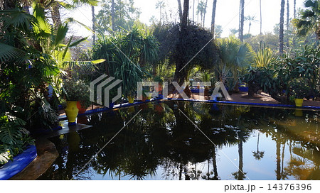 マジョレル庭園 14376396