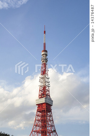 東京タワー 14376487