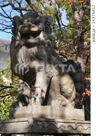 狛犬(阿形像)（湊川神社／兵庫県神戸市中央区多聞通） 14376812