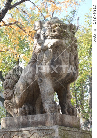 狛犬(吽形像)（湊川神社／兵庫県神戸市中央区多聞通） 14376813