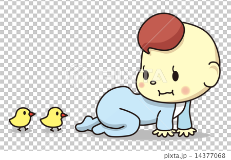 Baby's young 14377068