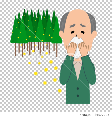 An elderly male with hay fever and cedar pollen runny nose An elderly male with hay fever and cedar pollen runny nose 14377293