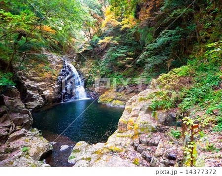 赤目四十八滝 赤目四十八滝 14377372