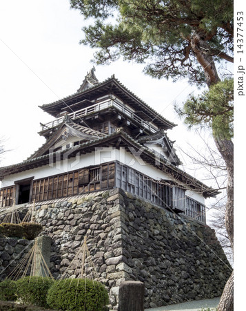 福井県 丸岡城 福井県 丸岡城 14377453