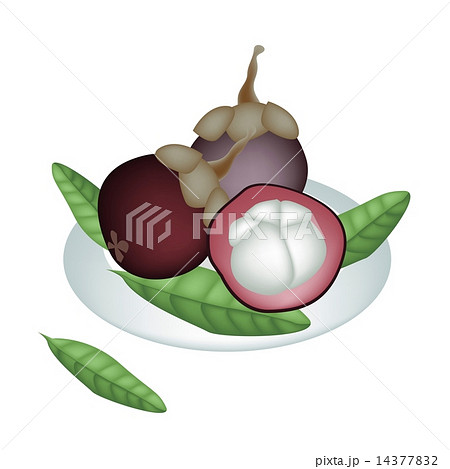 A Plate of Fresh Purple Mangosteens Isolated on White A Plate of Fresh Purple Mangosteens Isolated on White 14377832