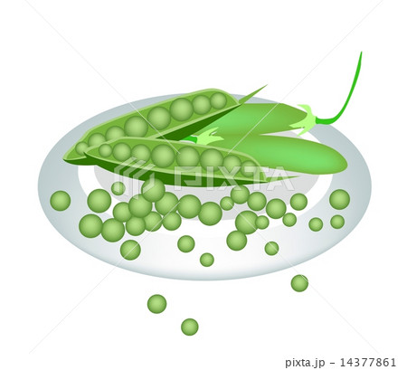 A Plate of Delicious Sweet Green Pea 14377861