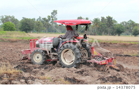 Tractor Tractor 14378075