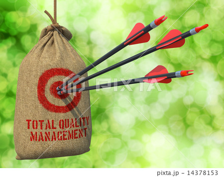 Total Quality Management - Arrows Hit in Red Target. 14378153