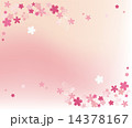桜 14378167