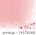 桜 14378168