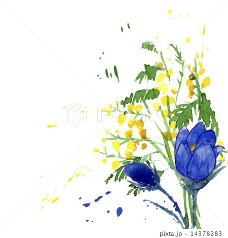 Watercolor Style Vector Illustration of Snowdrops  Watercolor Style Vector Illustration of Snowdrops  14378283