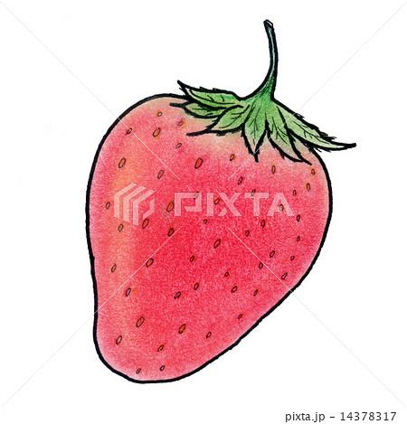 いちごのイラスト素材