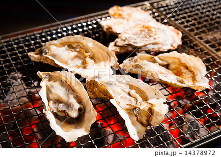 焼き牡蠣 14378972