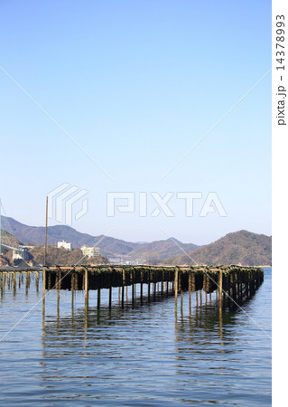 安芸灘大橋 安芸灘大橋 14378993