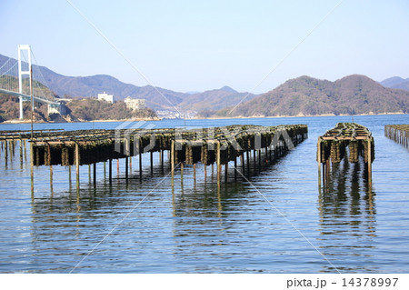 安芸灘大橋 14378997