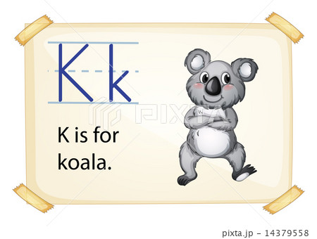 A letter K for koala A letter K for koala 14379558