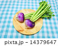 赤カブ 14379647