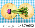 赤カブ 14379652