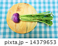赤カブ 14379653