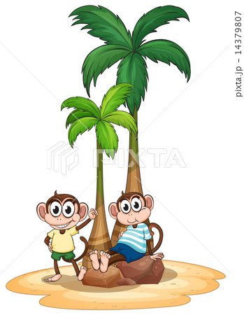 Monkey and tree 14379807