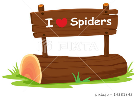 I love spider 14381342