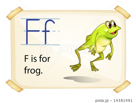 Frog flashcard 14381491