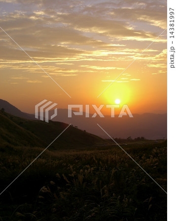 すすきと山の夕暮れ 14381997