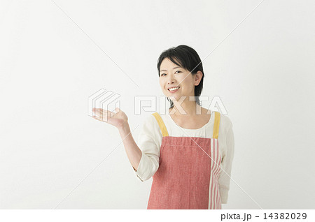 紹介する 紹介する 14382029