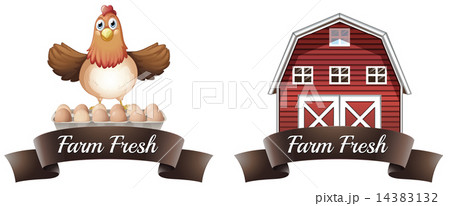 Farm Farm 14383132