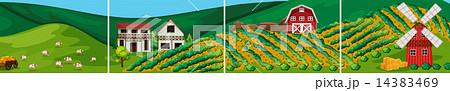 Farm 14383469
