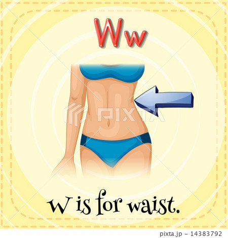 Letter W 14383792