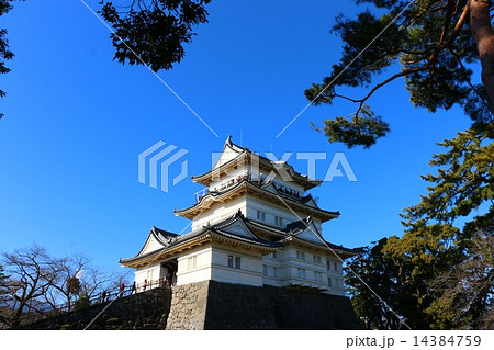 小田原城 14384759