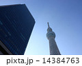 東京スカイツリーとビル 14384763