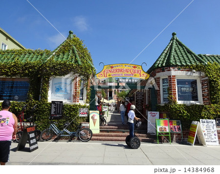 ベニスビーチ 14384968