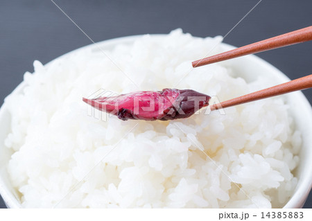 ごはんとしば漬け 14385883