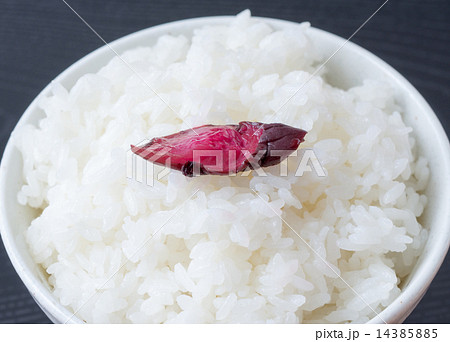 ごはんとしば漬け 14385885