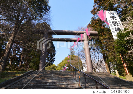 常盤神社の石段・参道(茨城県水戸市常盤町) 常盤神社の石段・参道(茨城県水戸市常盤町) 14386406