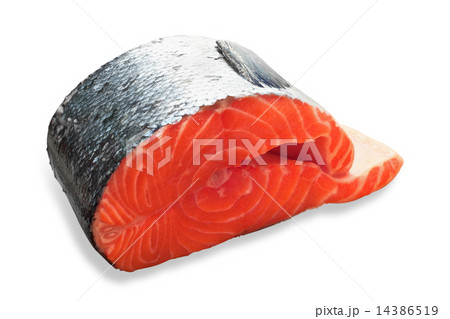 fresh salmon slice on white background fresh salmon slice on white background 14386519