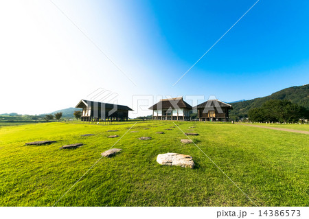 平沢官衙遺跡 平沢官衙遺跡 14386573