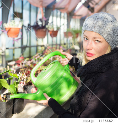 Florists woman working in greenhouse. Florists woman working in greenhouse. 14386821