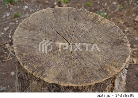 公園の丸太 14386899