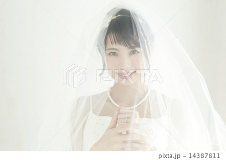 花嫁 14387811