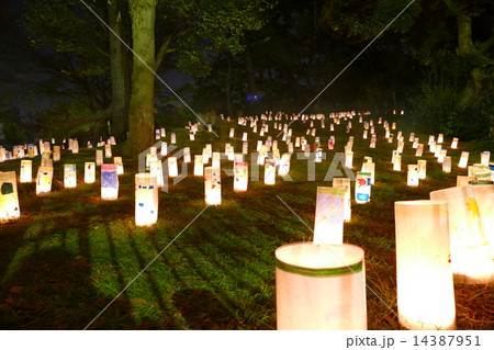 稲毛あかり祭夜灯 稲毛あかり祭夜灯 14387951