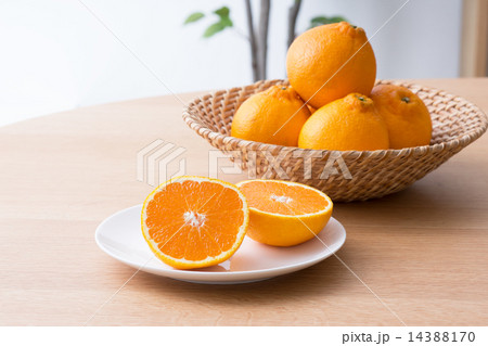 デコポン 14388170