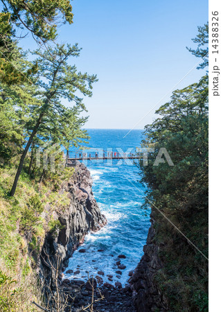 城ヶ崎海岸・門脇吊橋【静岡県・伊豆】 城ヶ崎海岸・門脇吊橋【静岡県・伊豆】 14388326