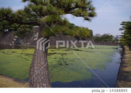 皇居 東京都千代田区 皇居 東京都千代田区 14388895