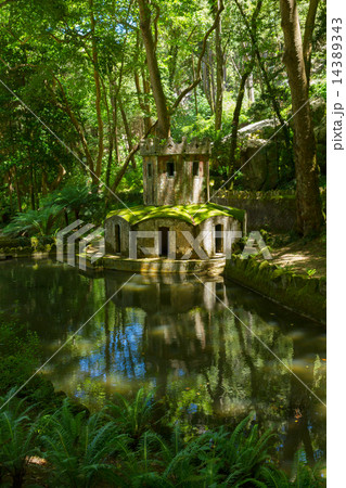 Gardens of Pena, SIntra, Portugal 14389343
