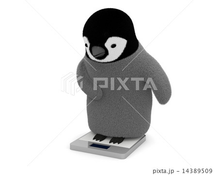 ペンギン ペンギン 14389509