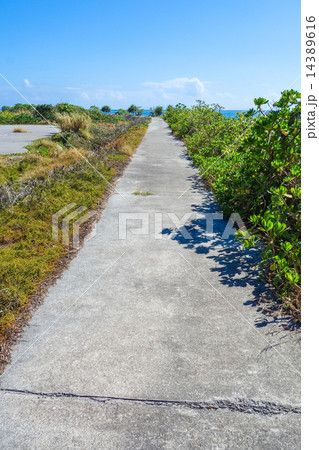 沖縄県　鳩間島の道 14389616