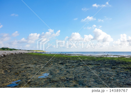 沖縄県　石垣島　白保海岸 14389767
